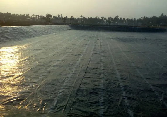 Agriculture Pond Liners - Narmada Polyfab